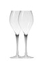 The Wine Merchant's Glasses, The 'Champagne Glass' - (set of 2)