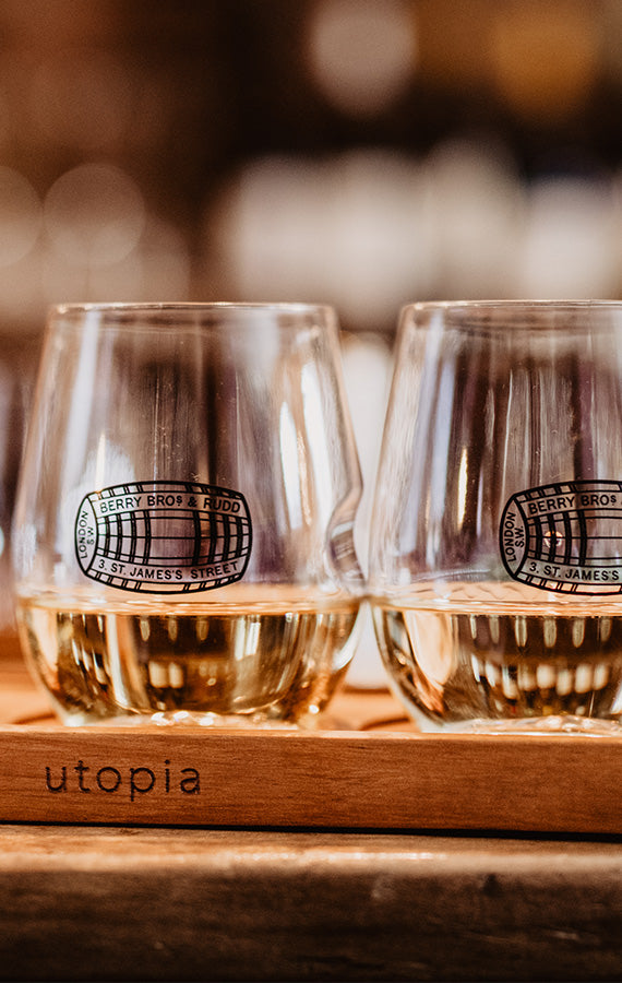 BB&R GoVino Premium Plastic Wine Glass